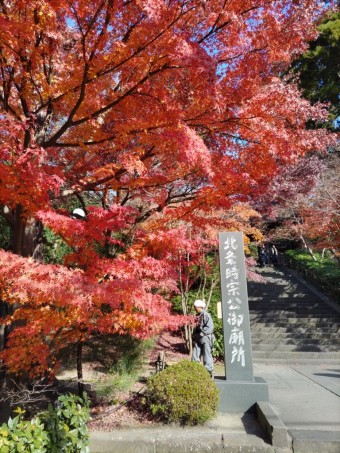 DSC_1413 DSC_1413-e1738740437479